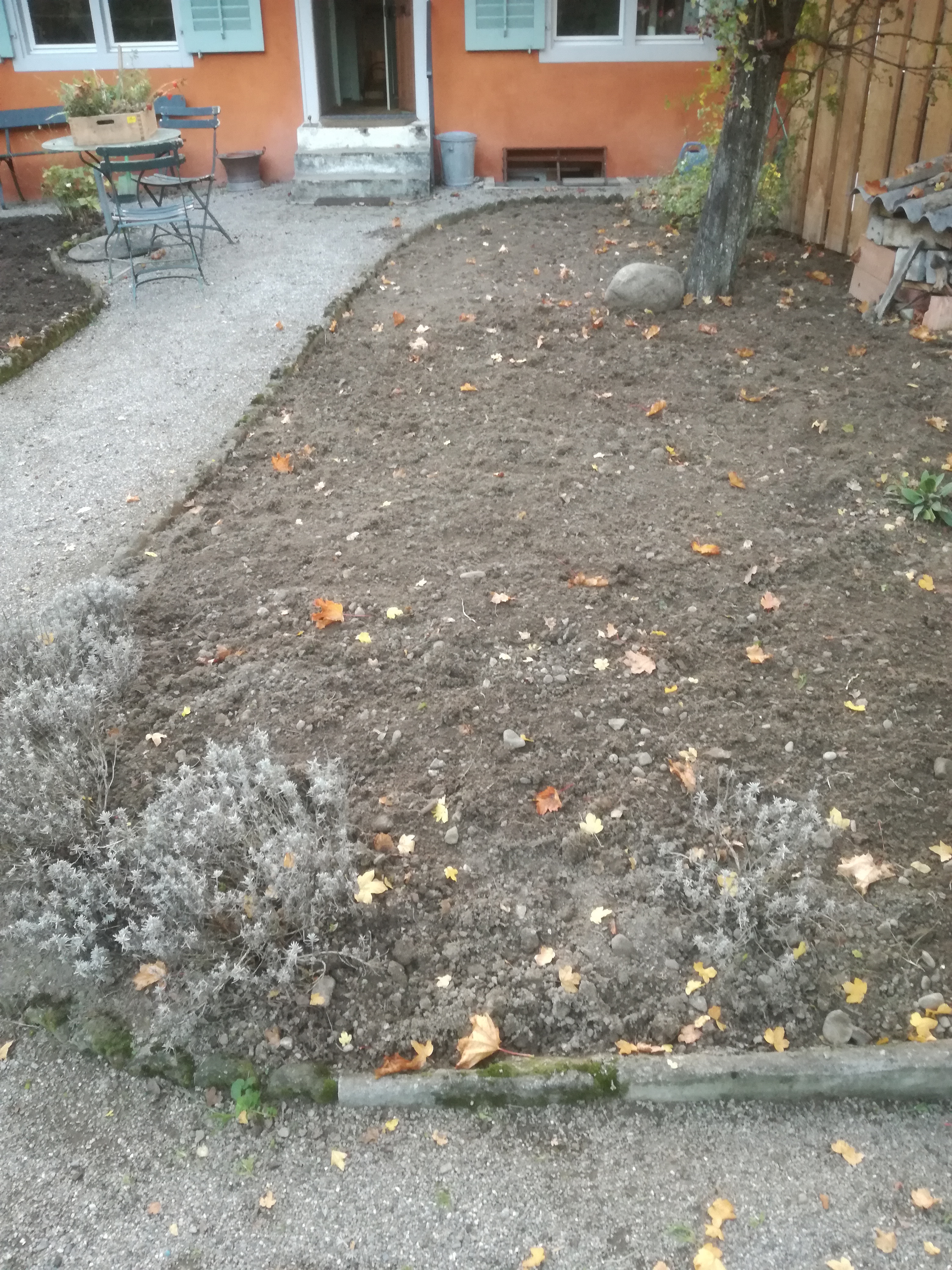 Garten Oktober 2017